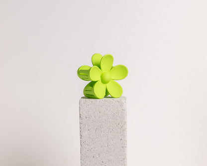 Pinces « Fleurs » édition limitée